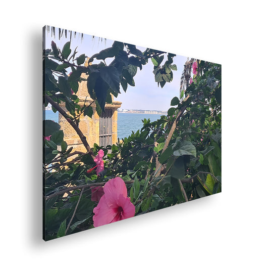 Hauptbild Farbig Standart