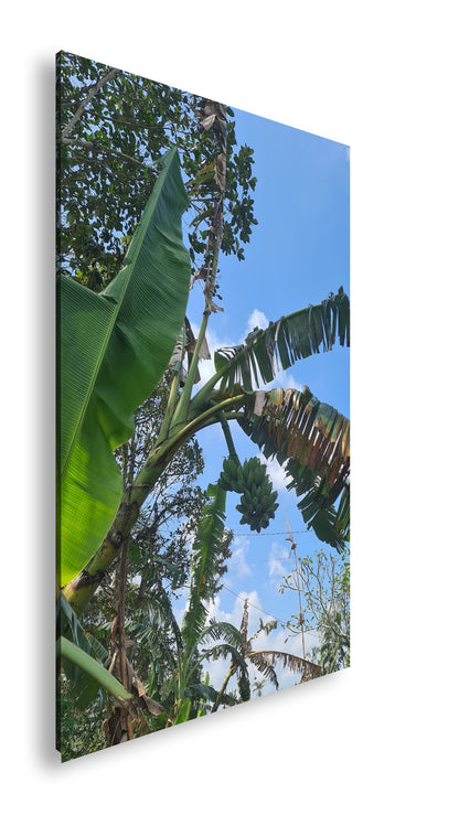 Hauptbild Farbig Standart