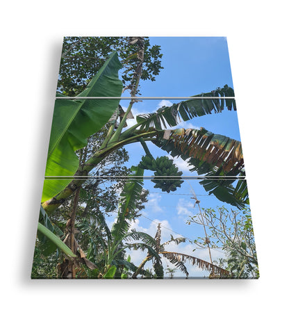 Hauptbild Farbig 3 Teilig