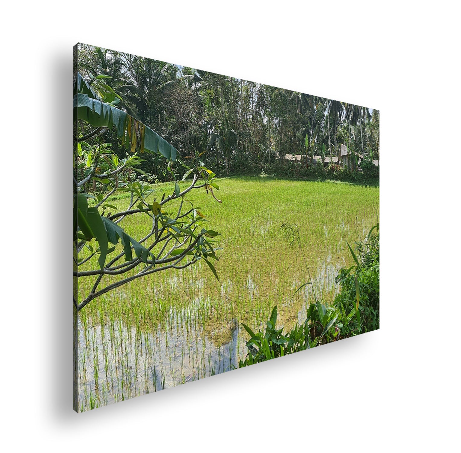 Hauptbild Farbig Standart