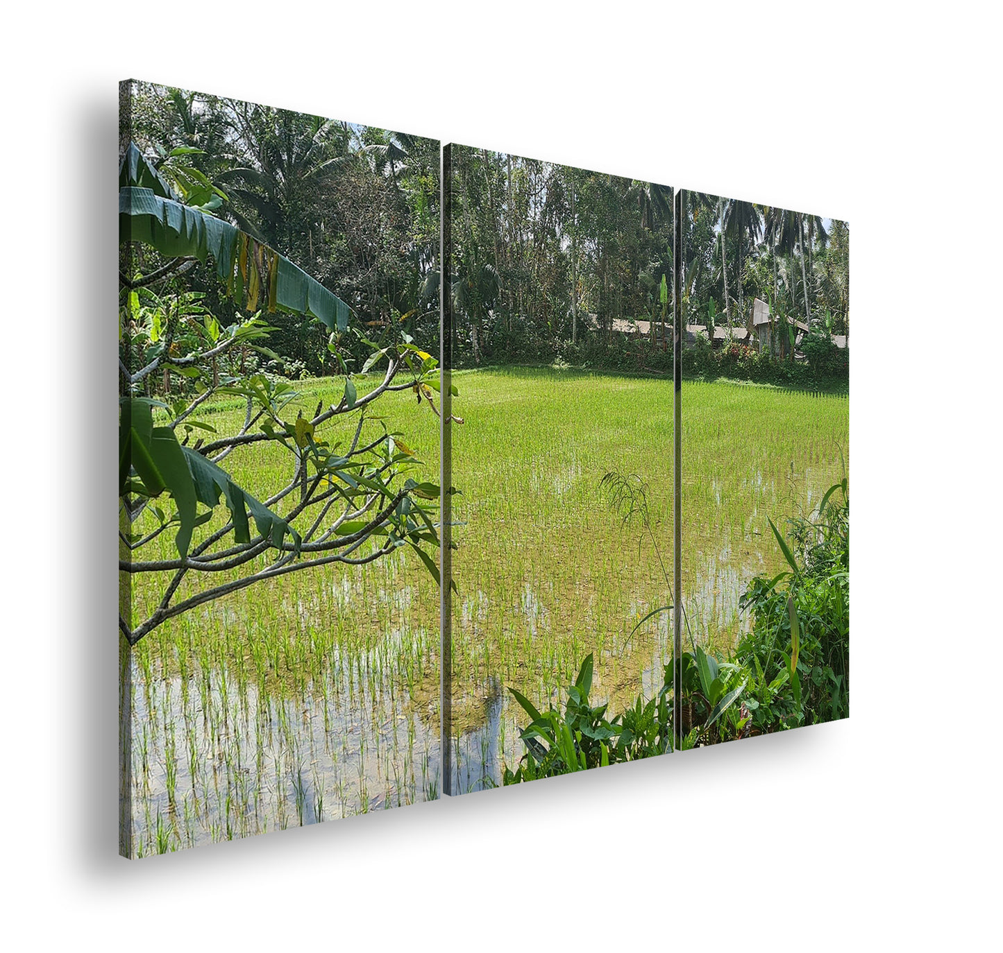 Hauptbild Farbig 3 Teilig