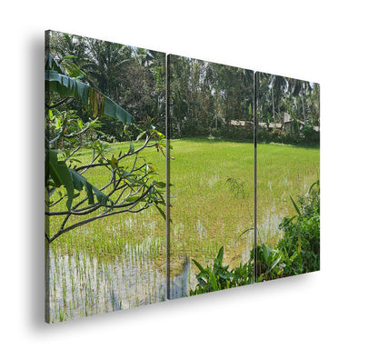 Hauptbild Farbig 3 Teilig