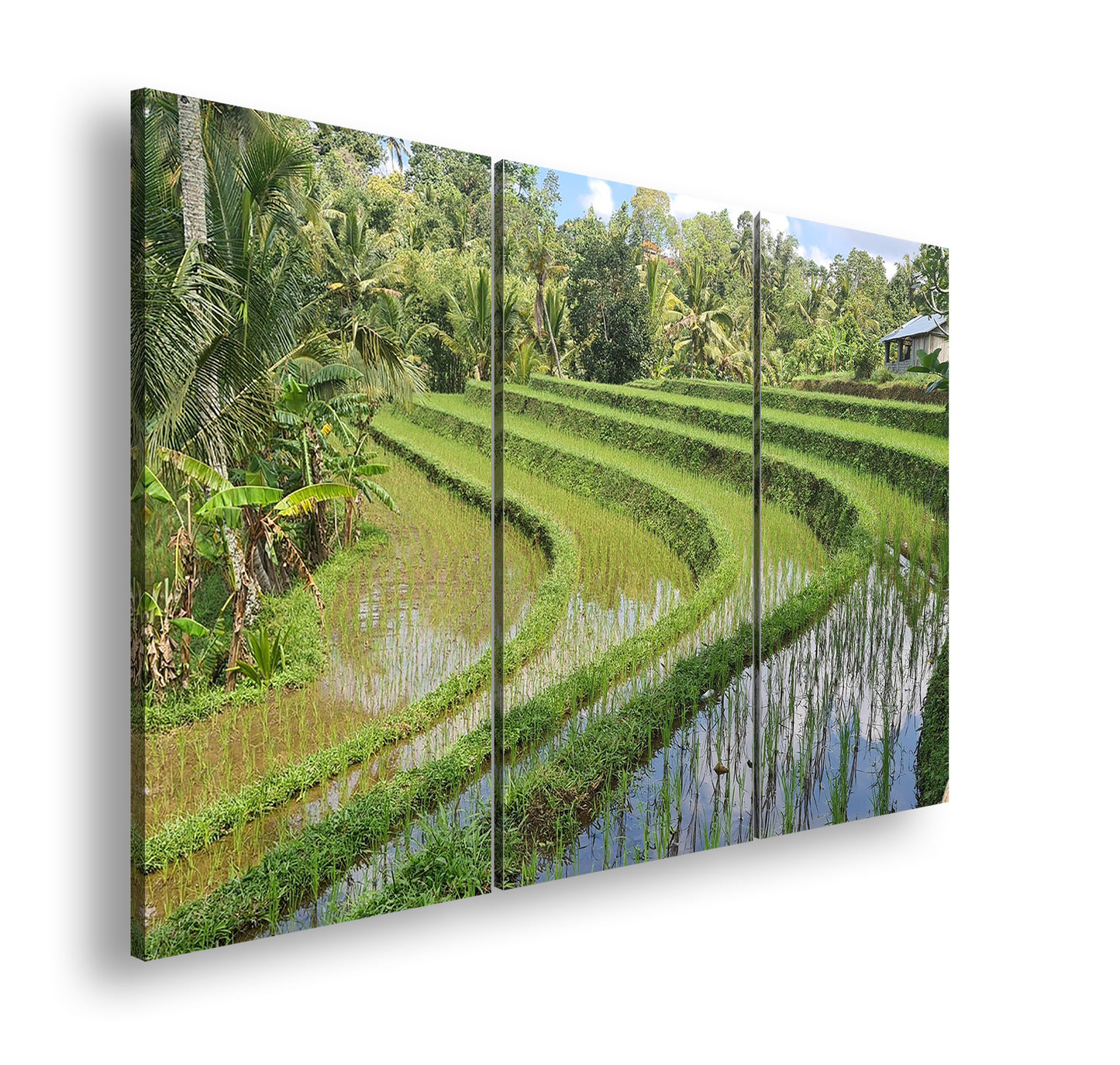 Hauptbild Farbig 3 Teilig