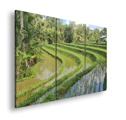 Hauptbild Farbig 3 Teilig