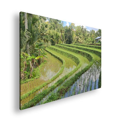 Hauptbild Farbig Standart