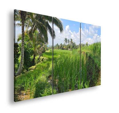 Hauptbild Farbig 3 Teilig