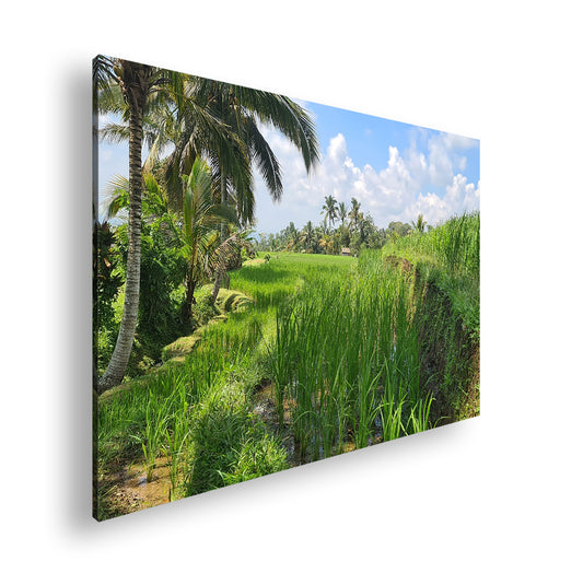 Hauptbild Farbig Standart