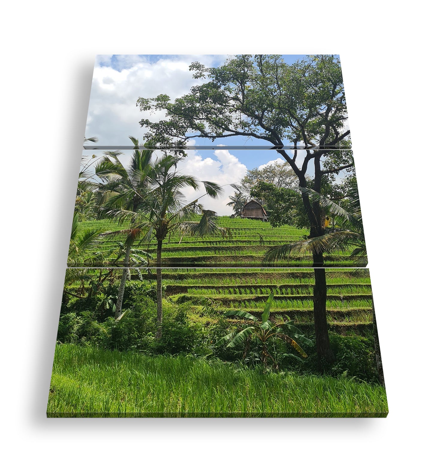 Hauptbild Farbig 3 Teilig