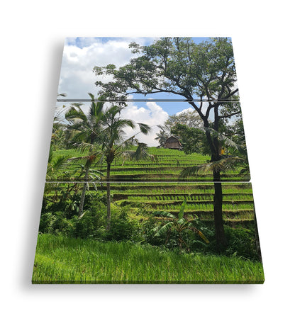 Hauptbild Farbig 3 Teilig