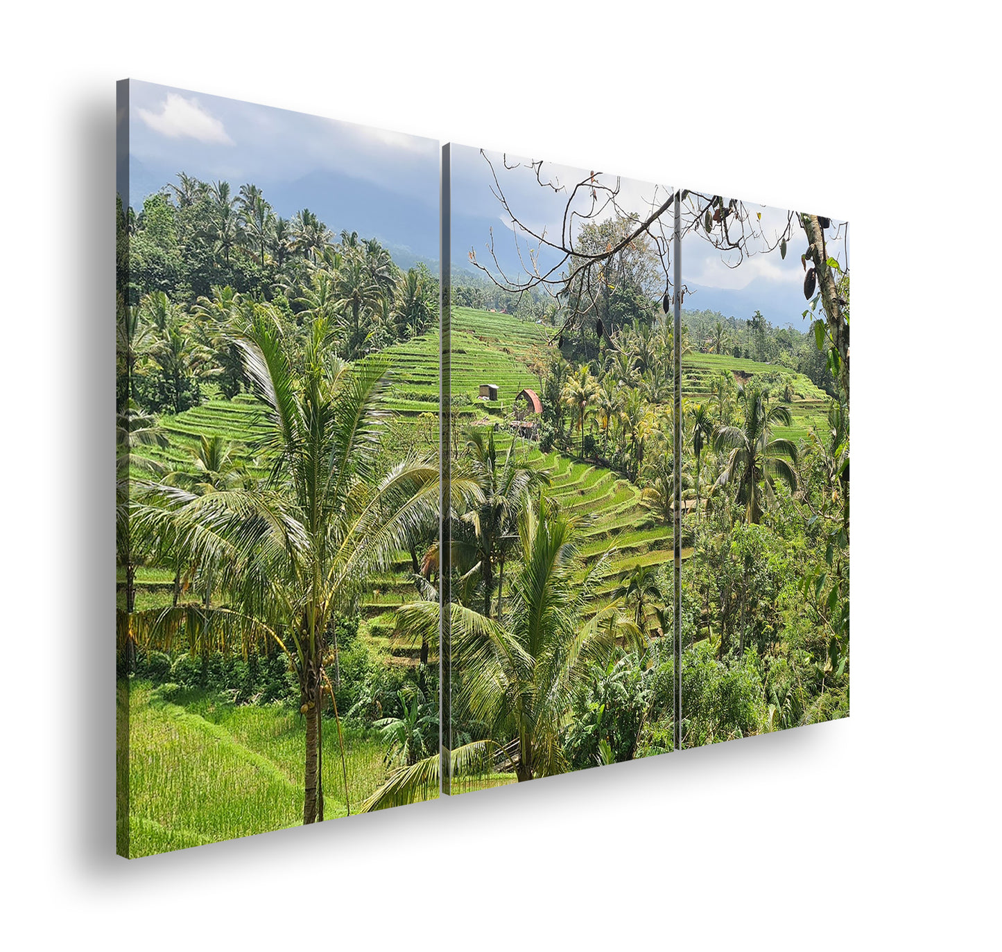 Hauptbild Farbig 3 Teilig