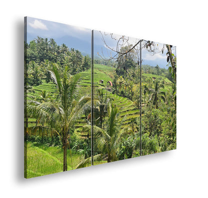 Hauptbild Farbig 3 Teilig