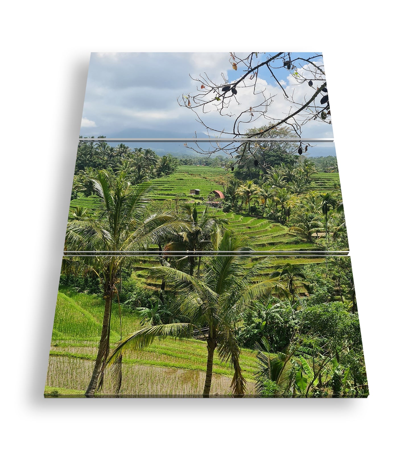 Hauptbild Farbig 3 Teilig