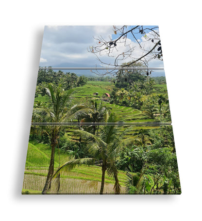 Hauptbild Farbig 3 Teilig