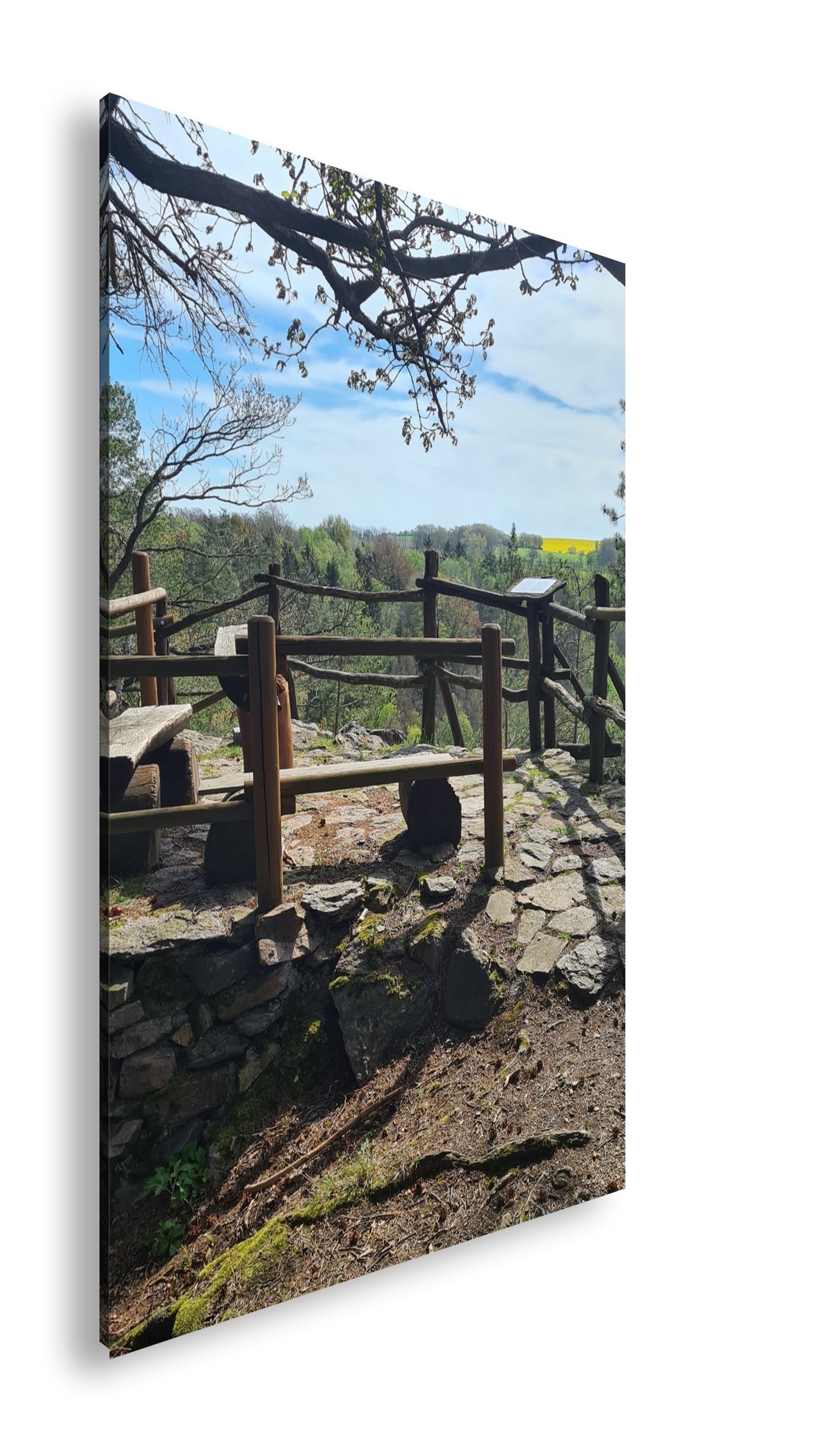 Hauptbild Farbig Standart