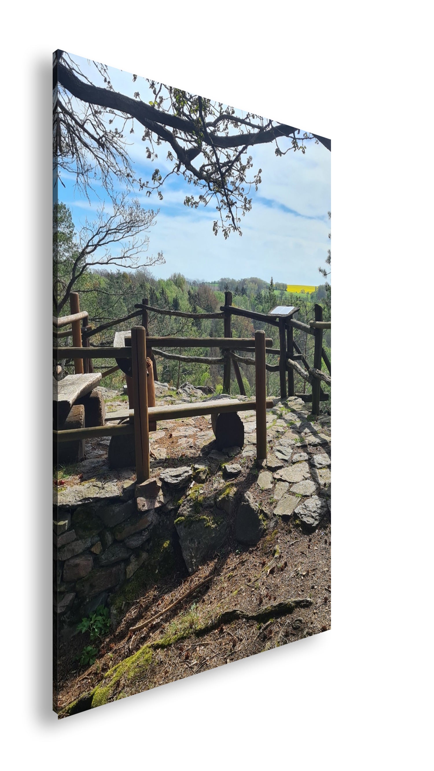 Hauptbild Farbig Standart