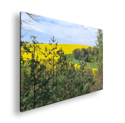 Hauptbild Farbig Standart