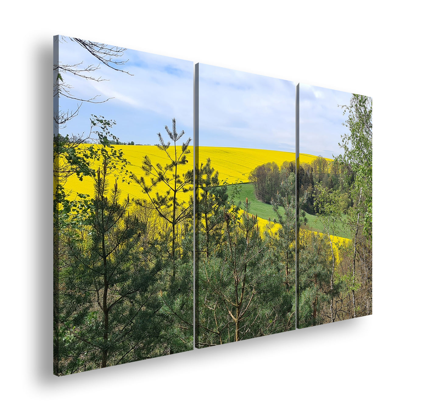 Hauptbild Farbig 3 Teilig