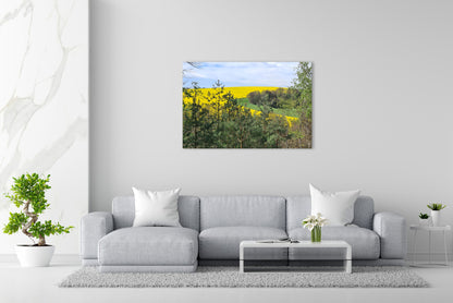 Vorschaubild Wohnzimmerbild 1