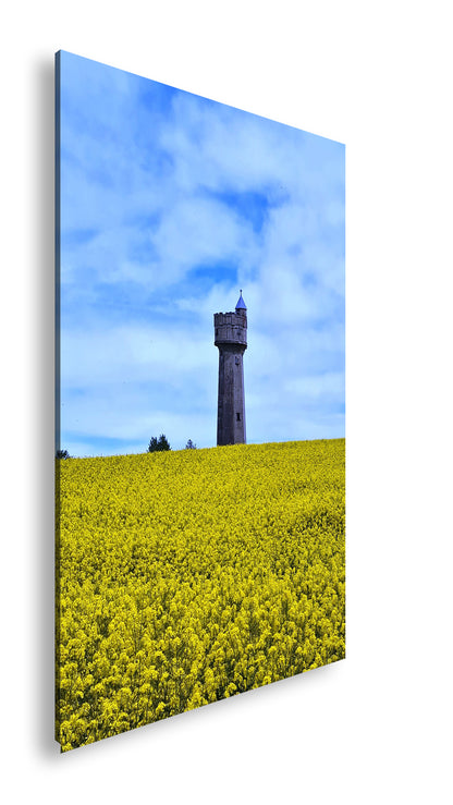 Hauptbild Farbig Standart