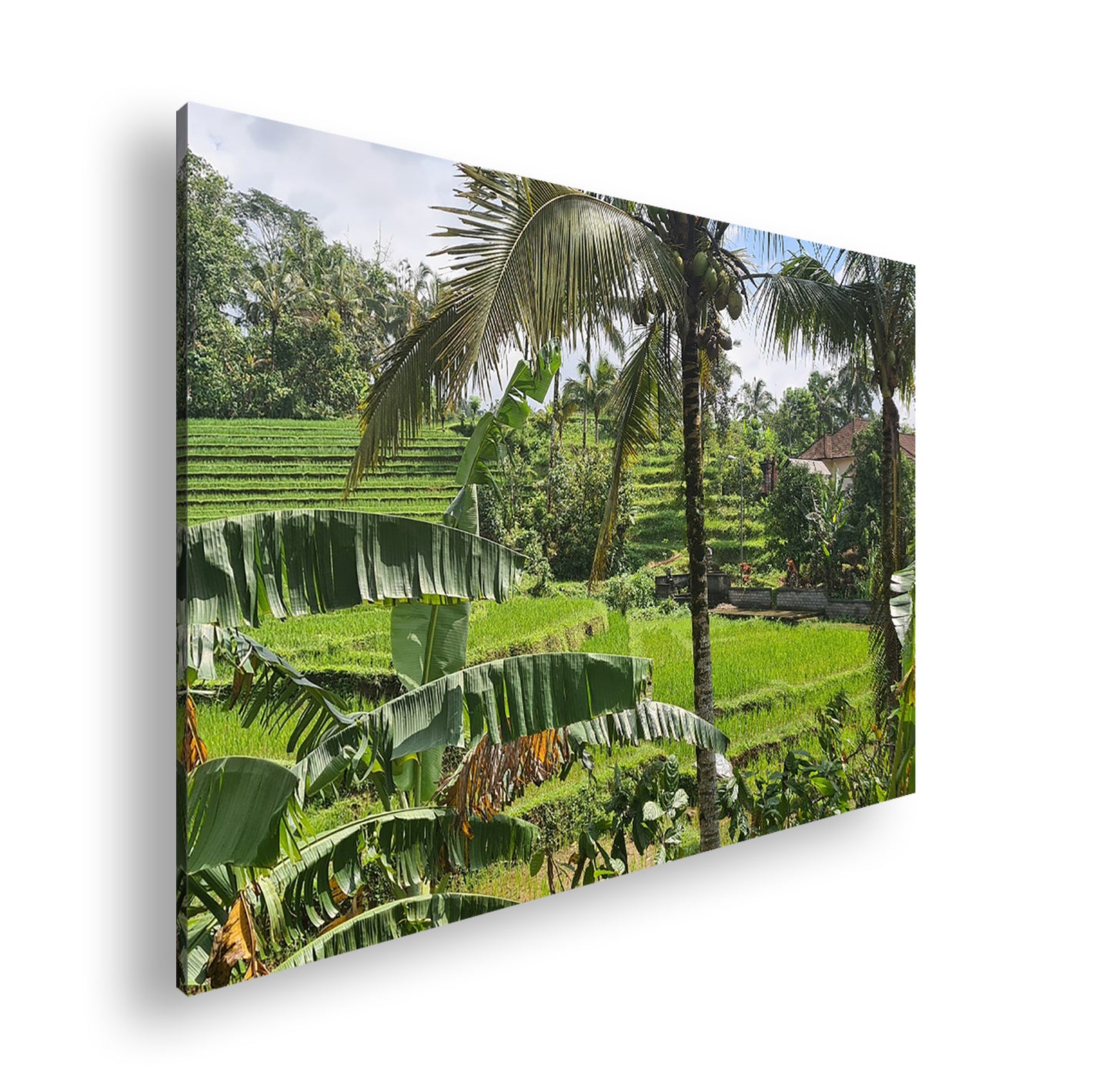 Hauptbild Farbig Standart