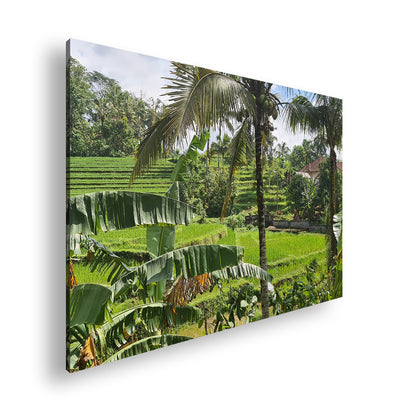 Hauptbild Farbig Standart