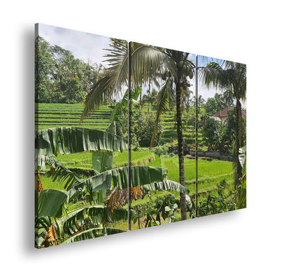 Hauptbild Farbig 3 Teilig