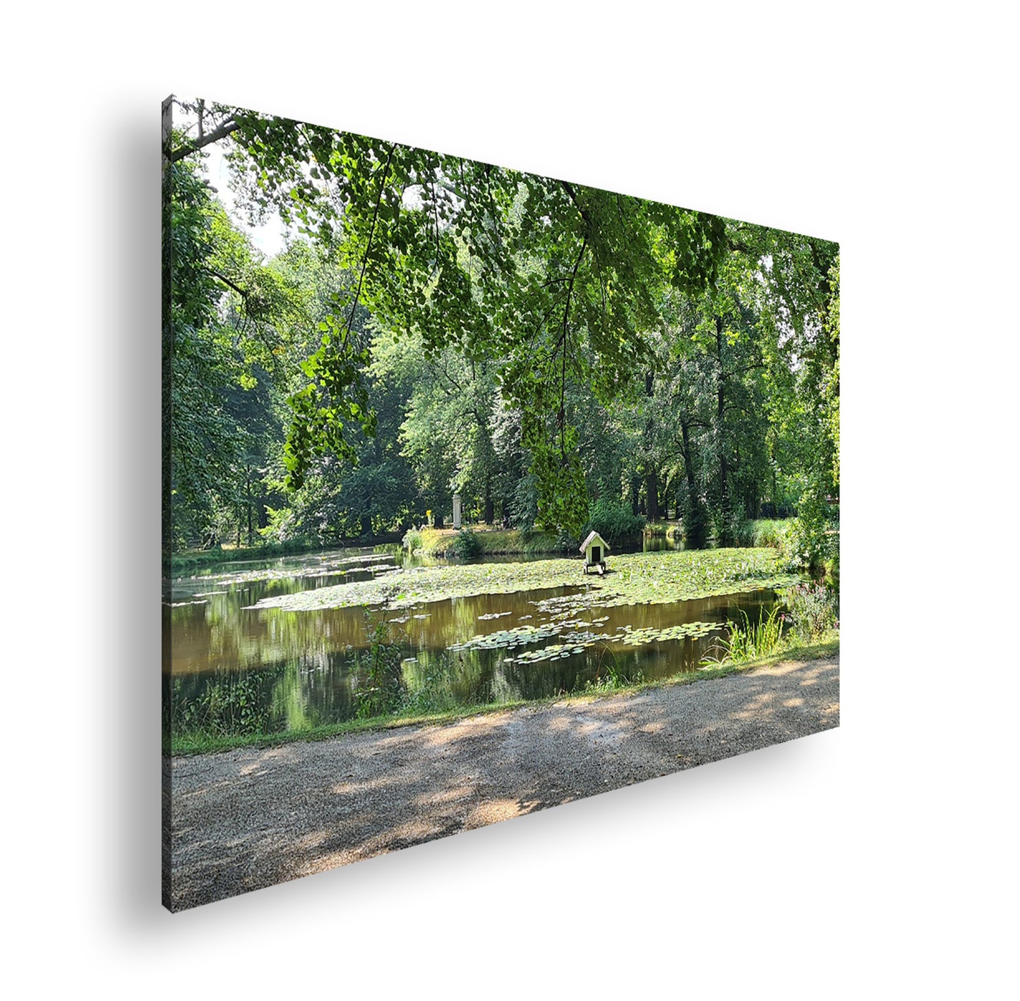 Hauptbild Farbig Standart