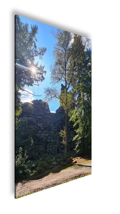 Hauptbild Farbig Standart