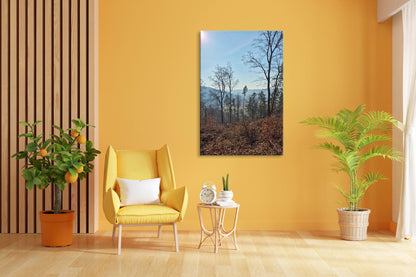 Vorschaubild Wohnzimmerbild 3