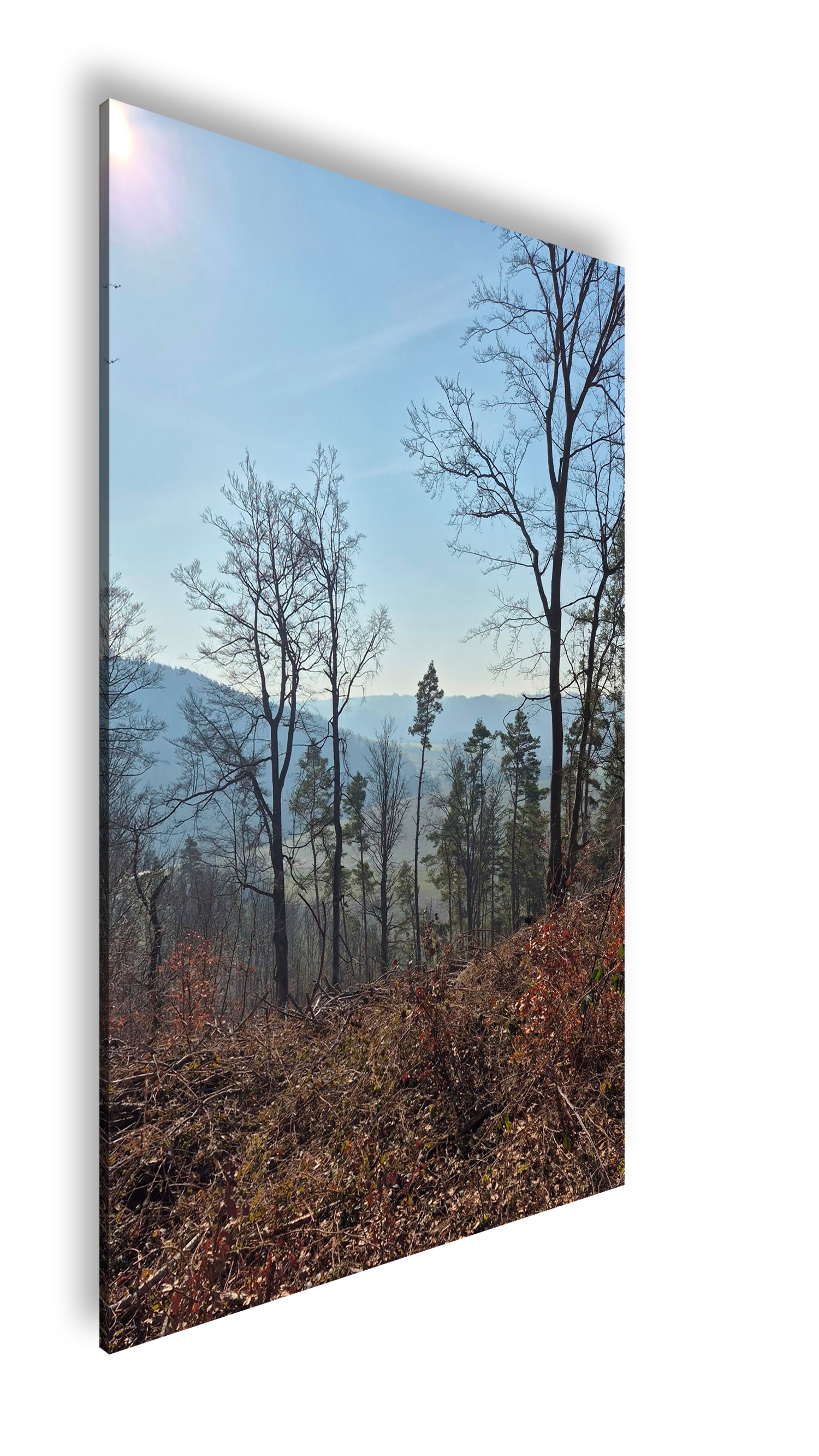 Hauptbild Farbig Standart