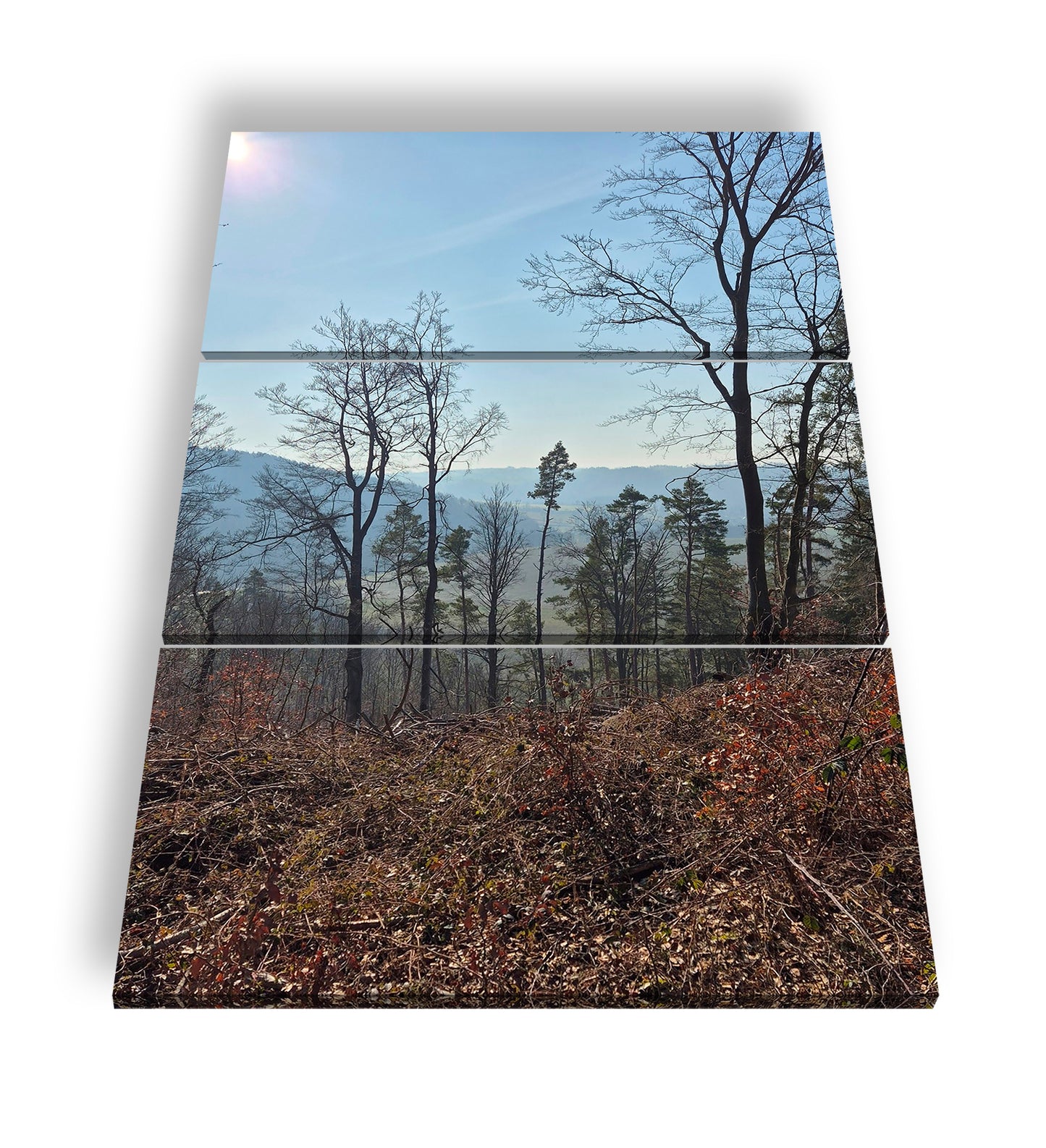 Hauptbild Farbig 3 Teilig