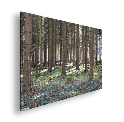 Hauptbild Farbig Standart