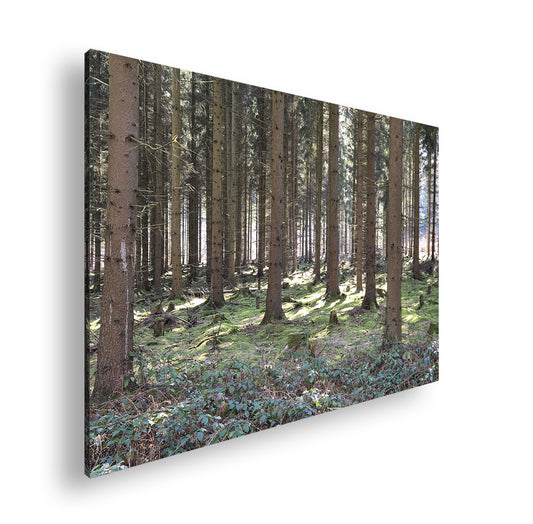 Hauptbild Farbig Standart