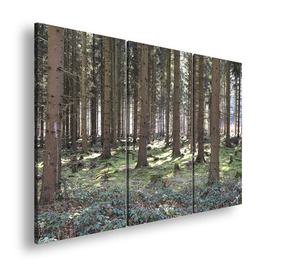 Hauptbild Farbig 3 Teilig