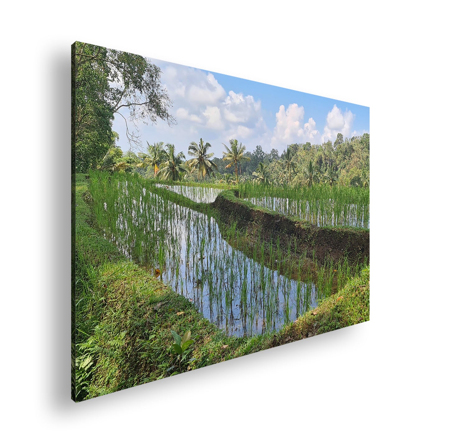 Hauptbild Farbig Standart