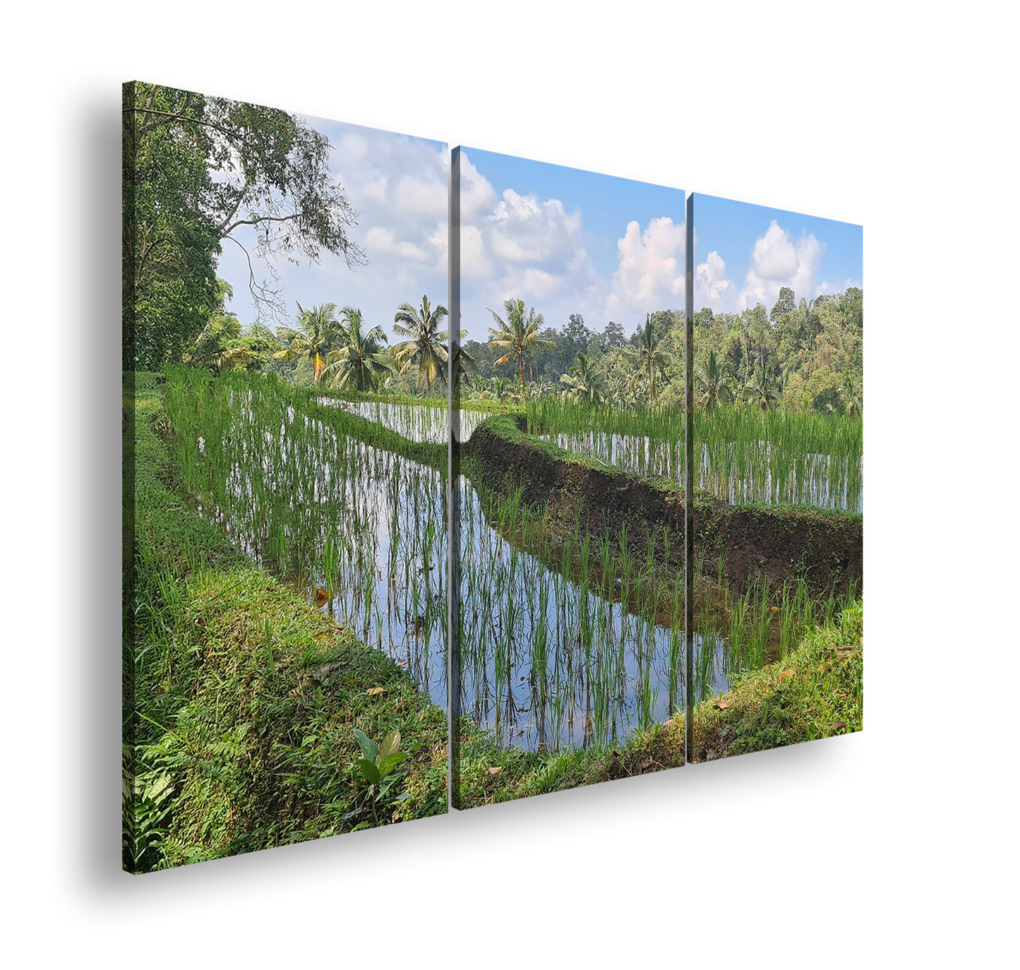 Hauptbild Farbig 3 Teilig