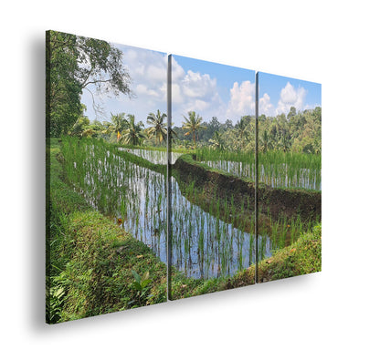 Hauptbild Farbig 3 Teilig