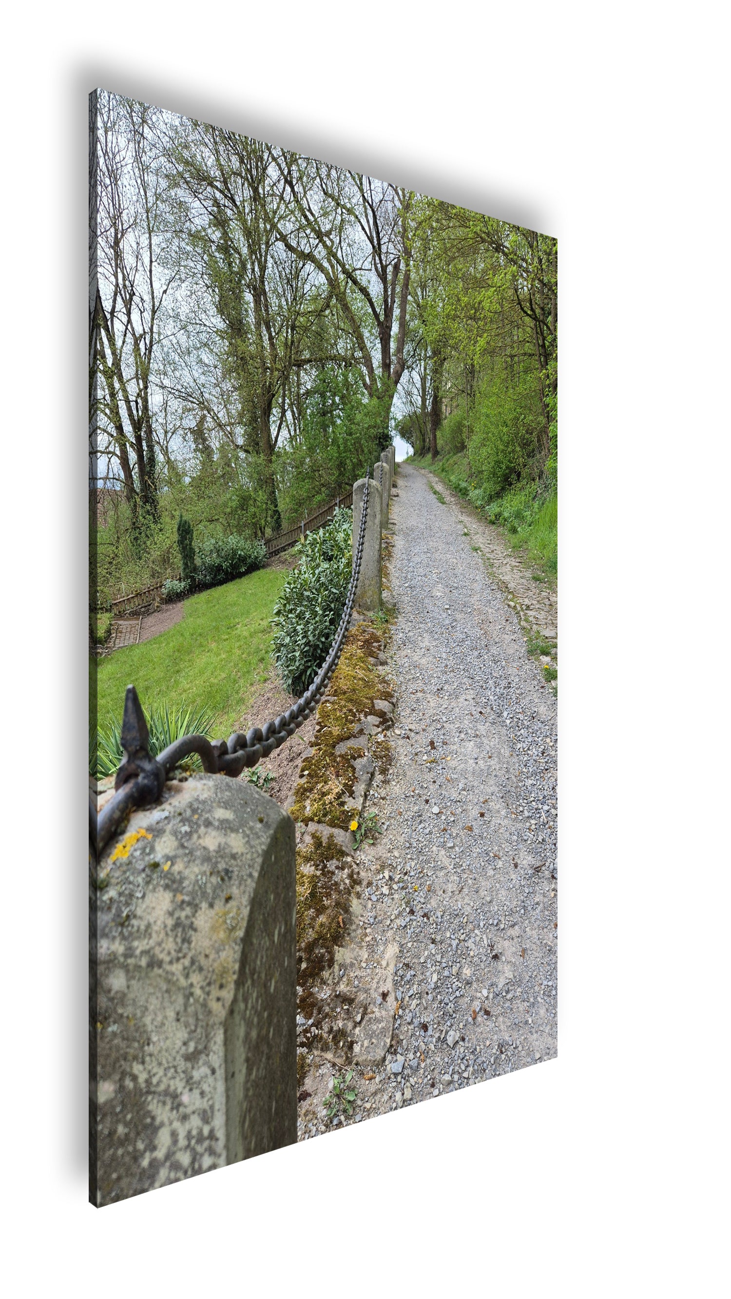 Hauptbild Farbig Standart