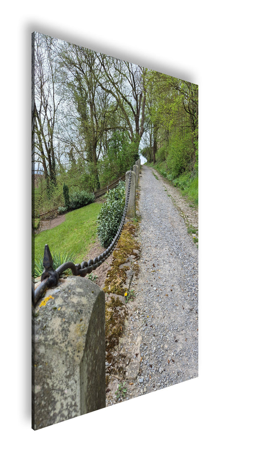 Hauptbild Farbig Standart