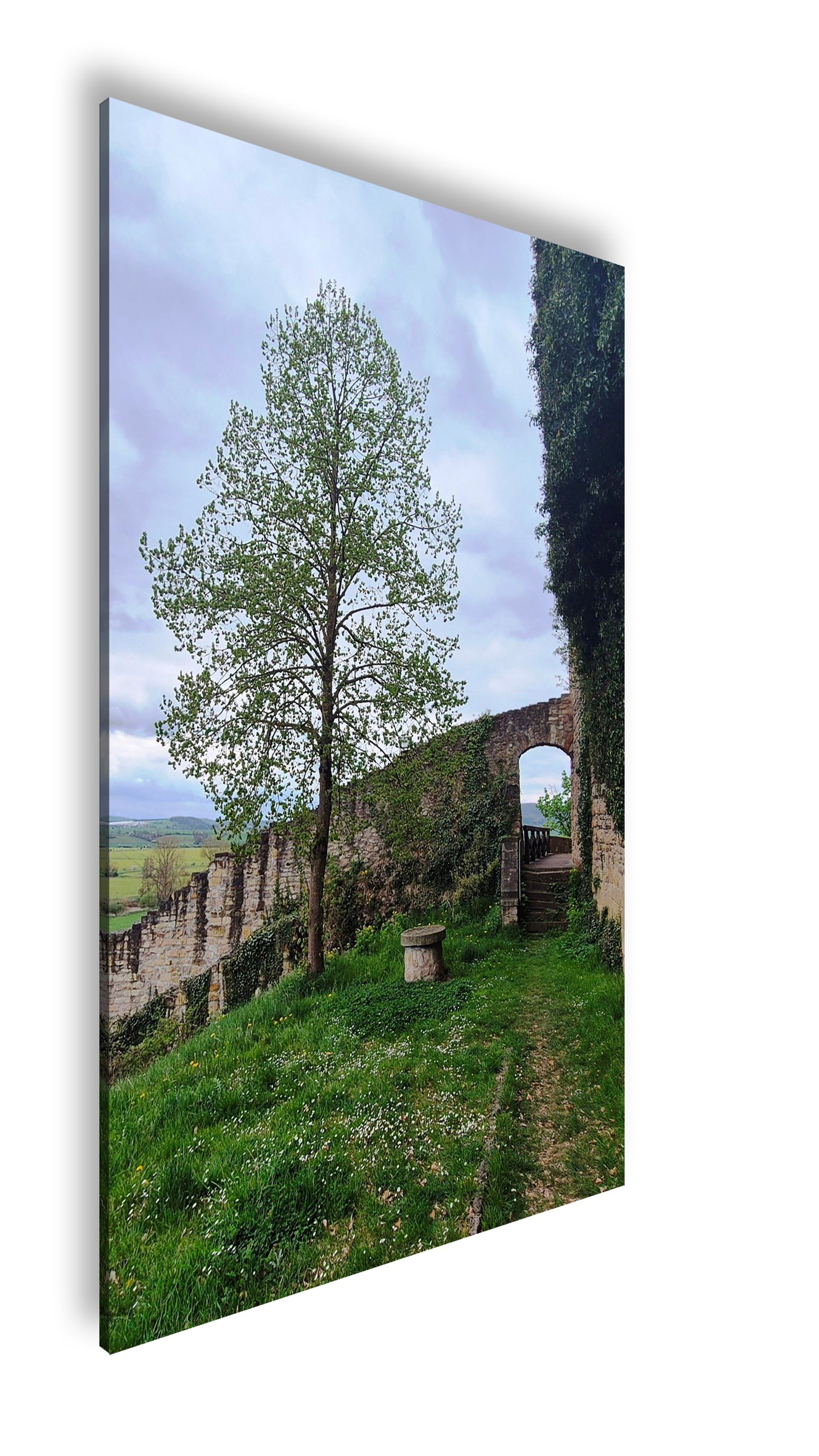 Hauptbild Farbig Standart