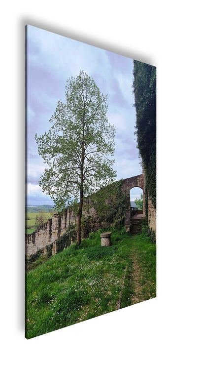 Hauptbild Farbig Standart