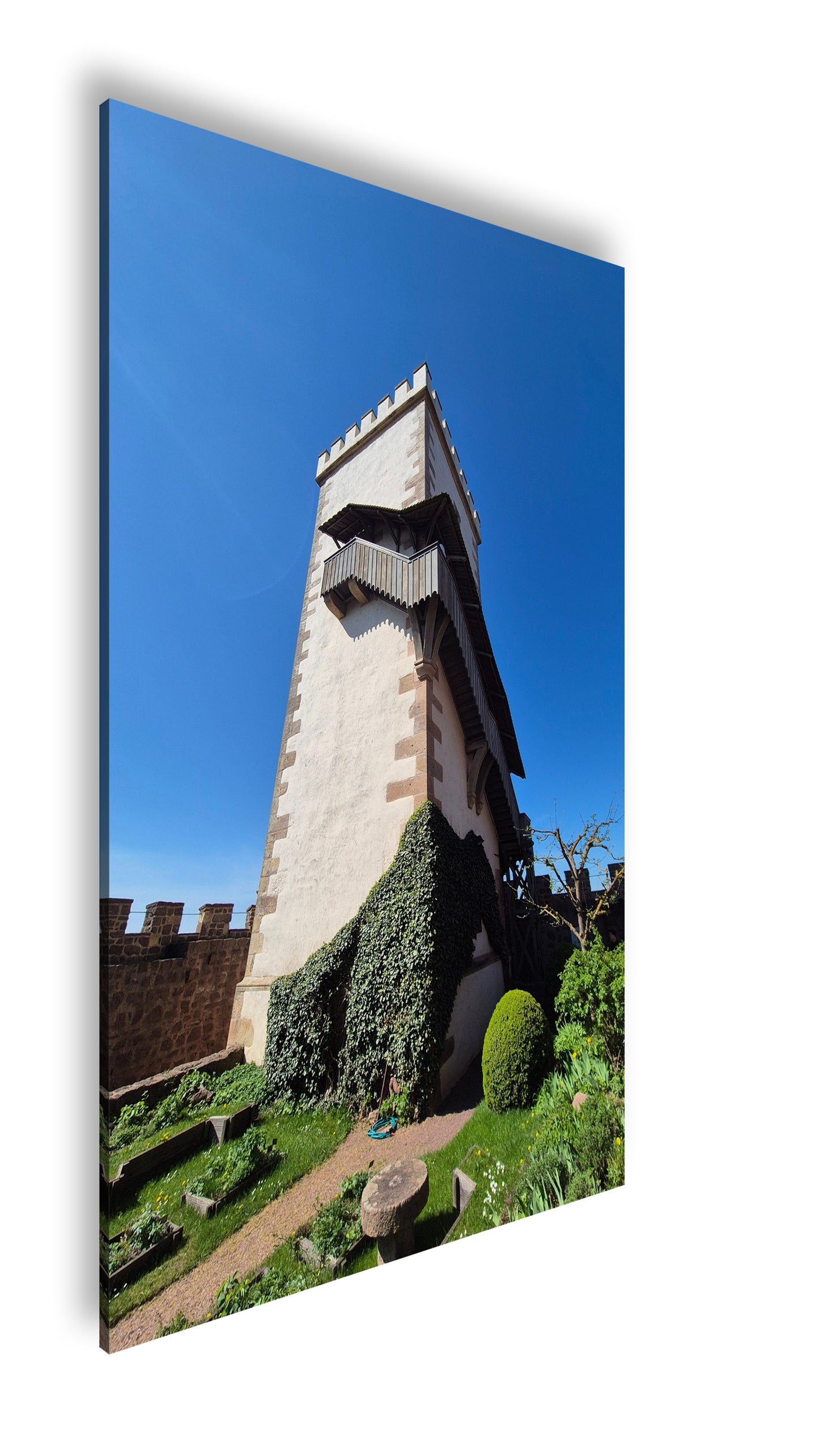 Hauptbild Farbig Standart