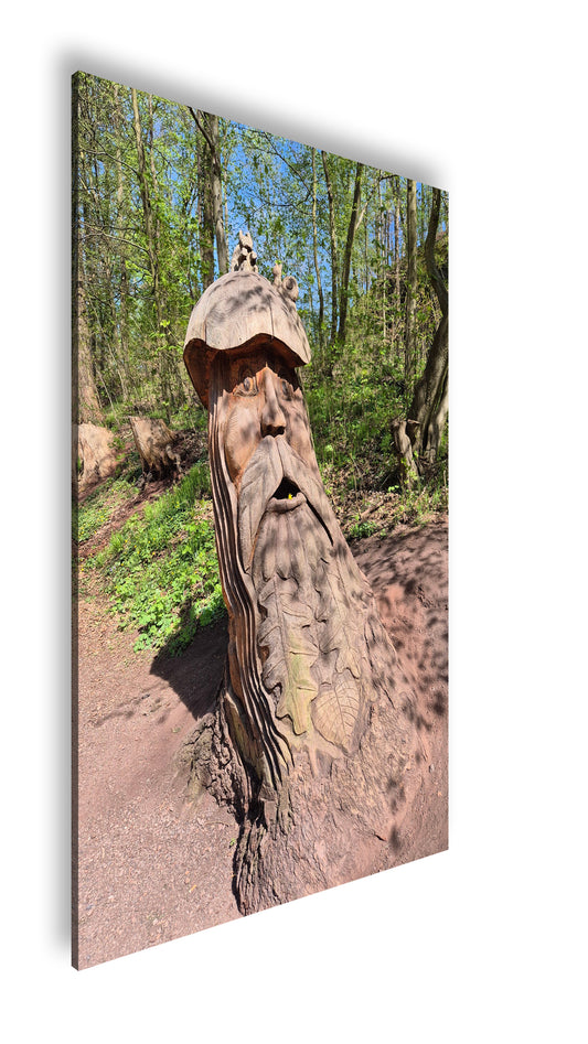 Hauptbild Farbig Standart