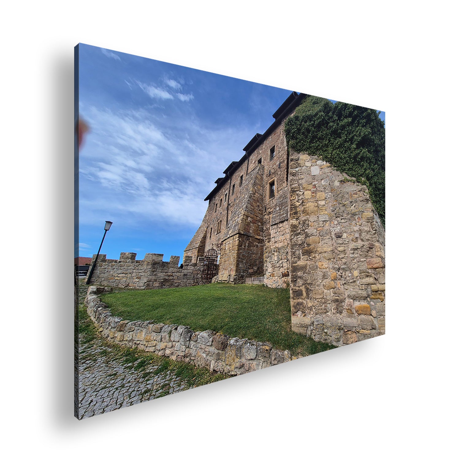 Hauptbild Farbig Standart