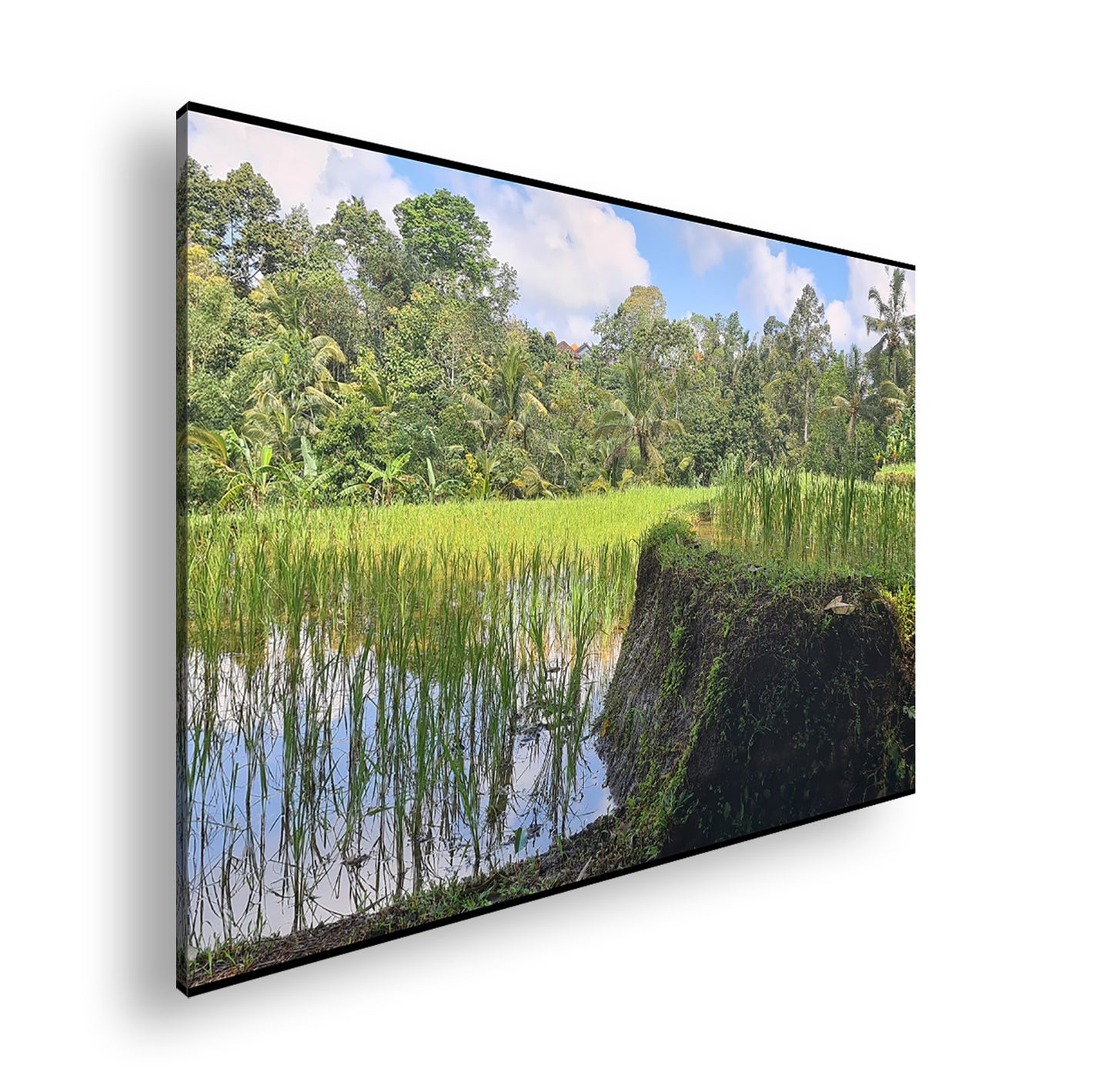 Hauptbild Farbig Standart