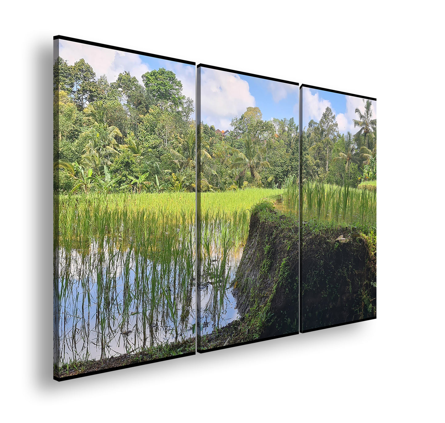 Hauptbild Farbig 3 Teilig