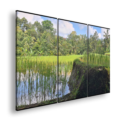 Hauptbild Farbig 3 Teilig