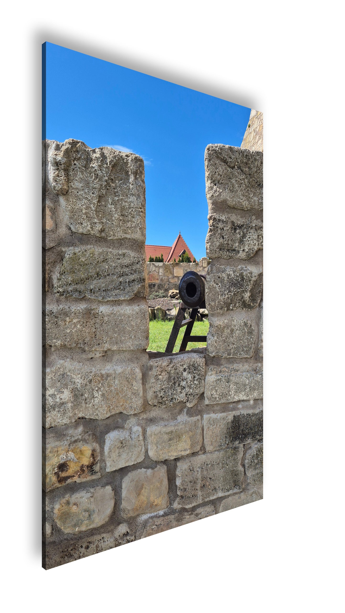 Hauptbild Farbig Standart