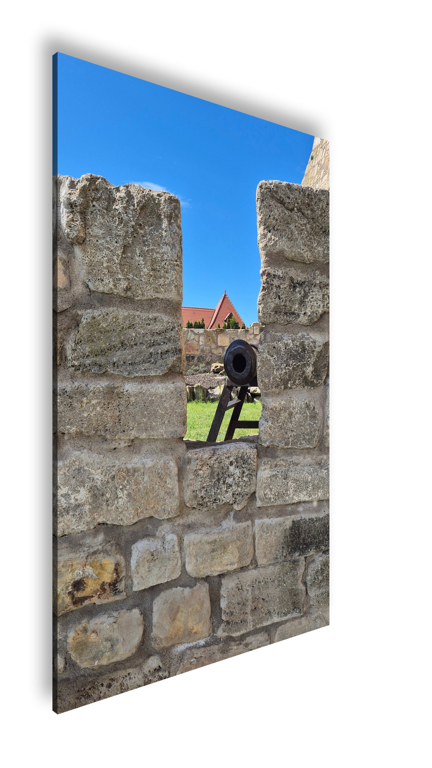 Hauptbild Farbig Standart