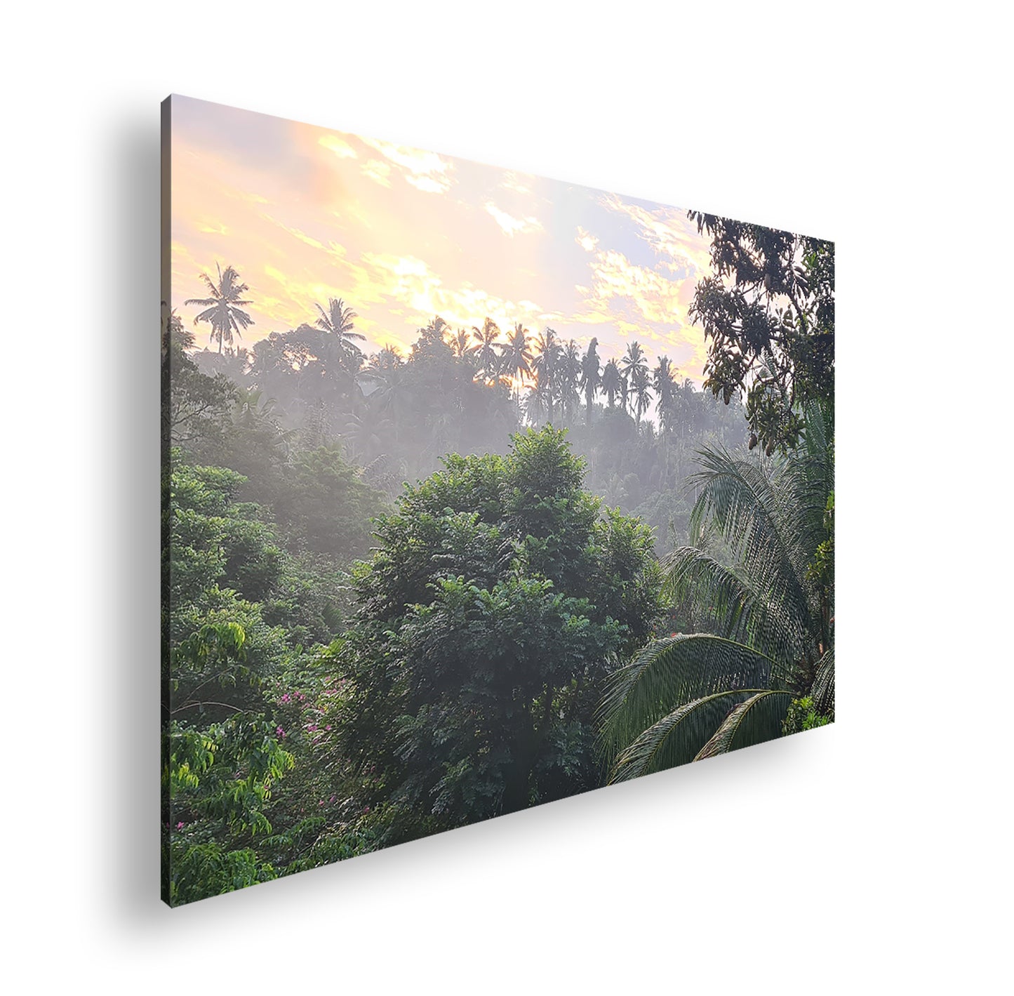 Hauptbild Farbig Standart